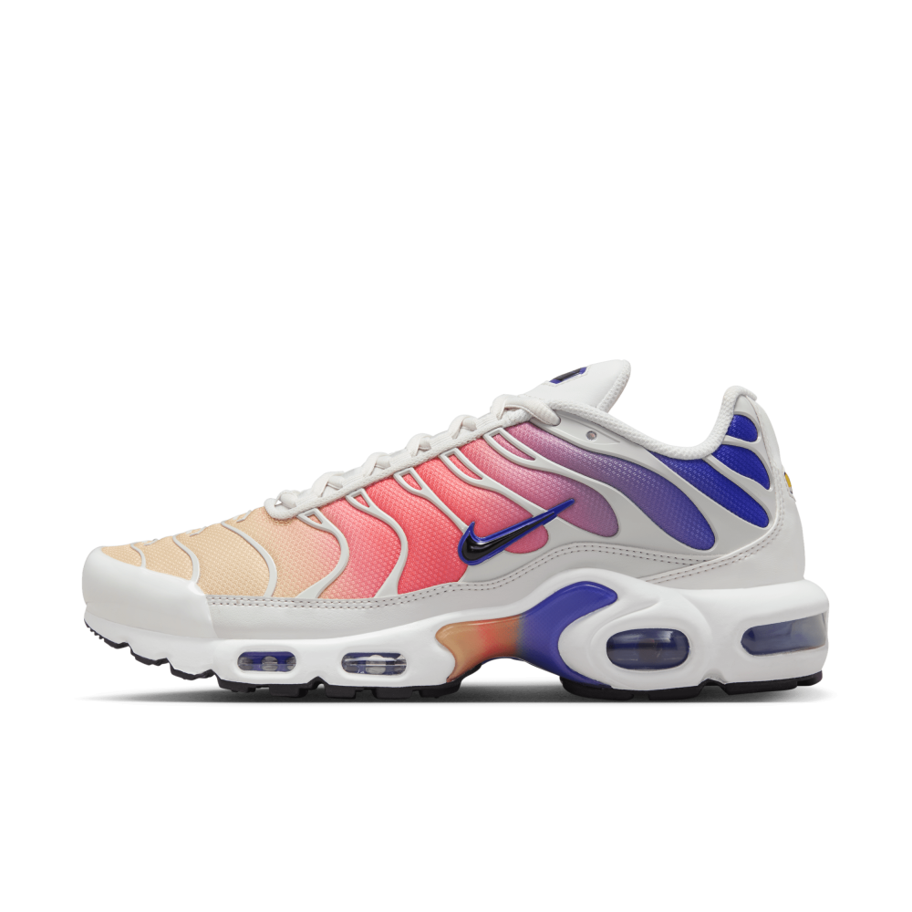 Nike Air Max Plus grau DZ3670 003 Preisvergleich