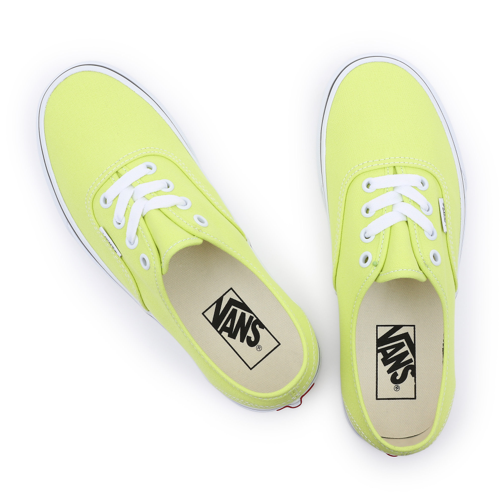 Vans Color Theory Authentic grun VN0A5KS9ZUD1 Preisvergleich