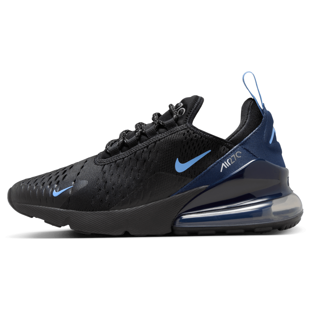 Nike Air Max 270 schwarz HQ3811 001 Preisvergleich