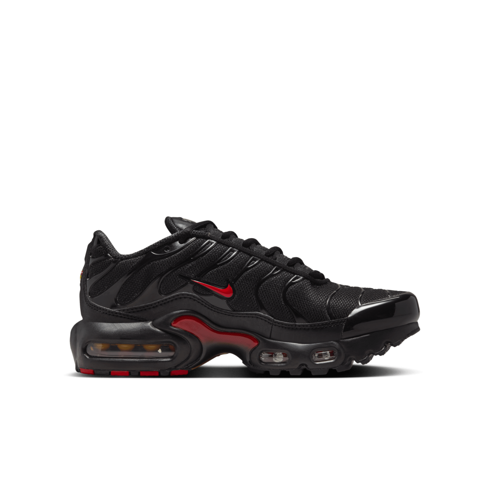 Nike Air Max Plus altere schwarz HV2891 001 Preisvergleich