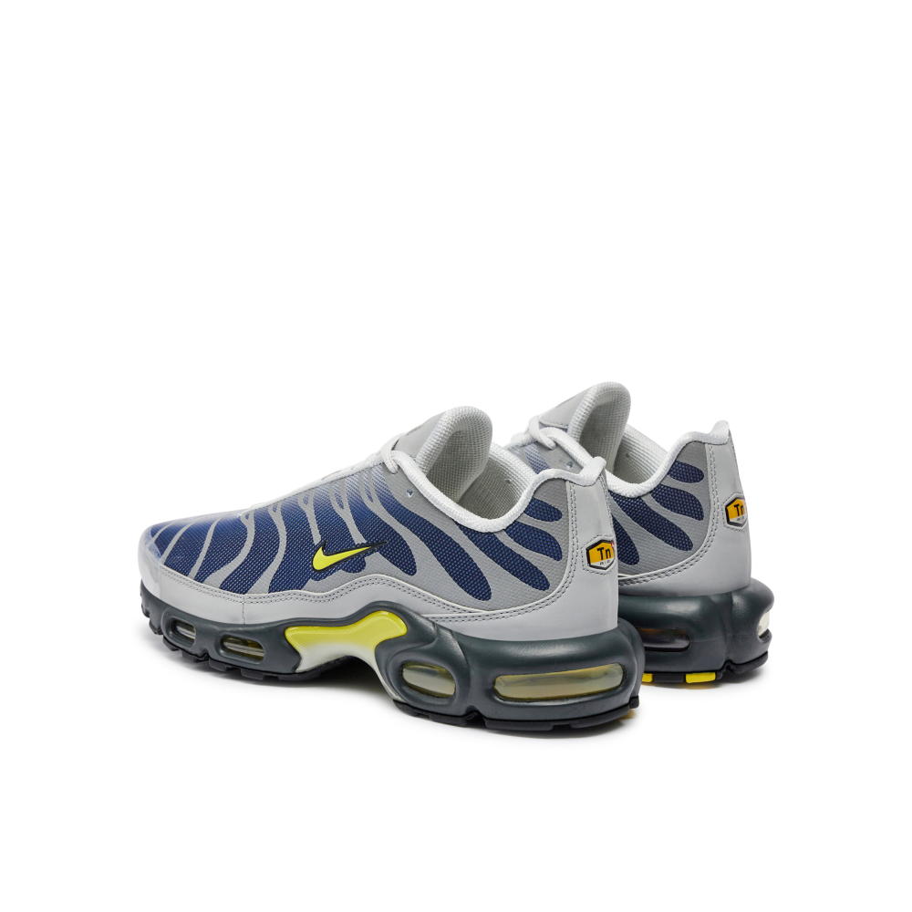 Air max tn grau online