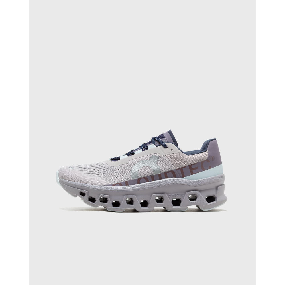 ON Cloudmonster grau 61.98128 Preisvergleich