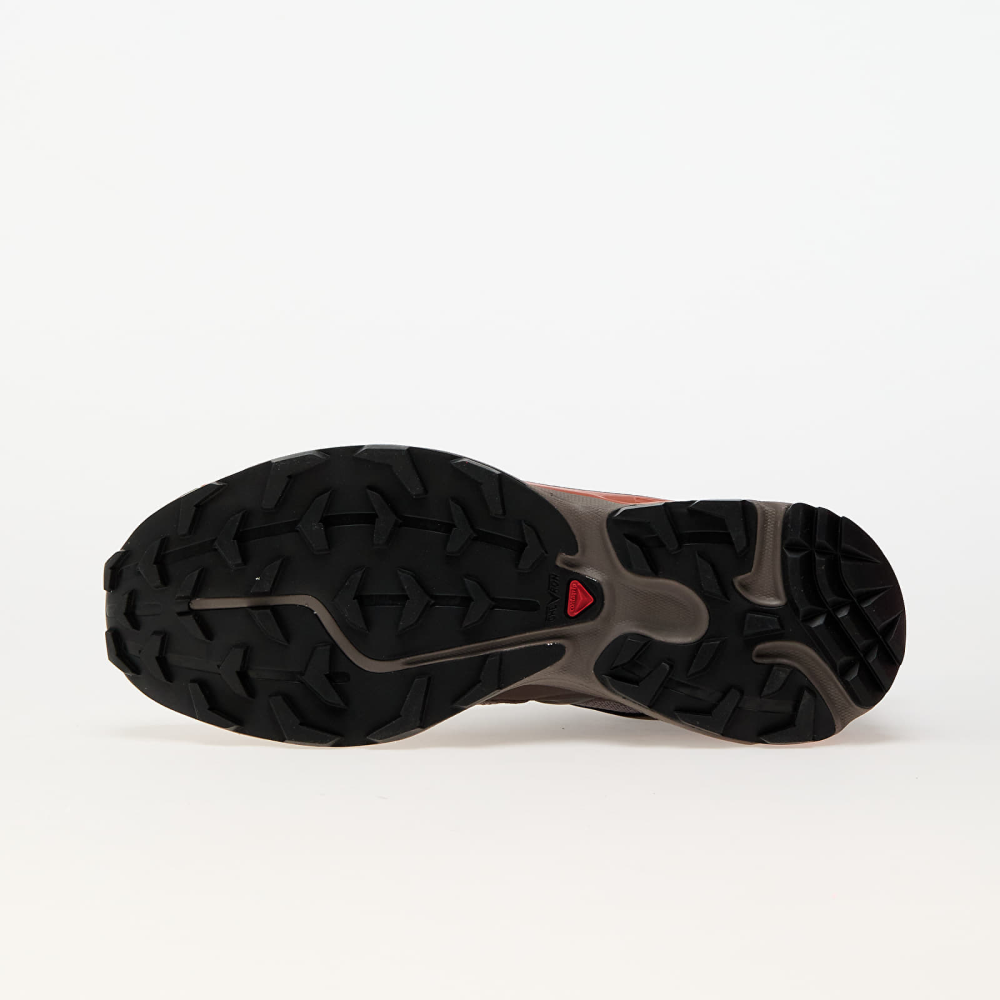 Salomon Xt 6 Expanse Iron Bracken grau L47573200 Preisvergleich