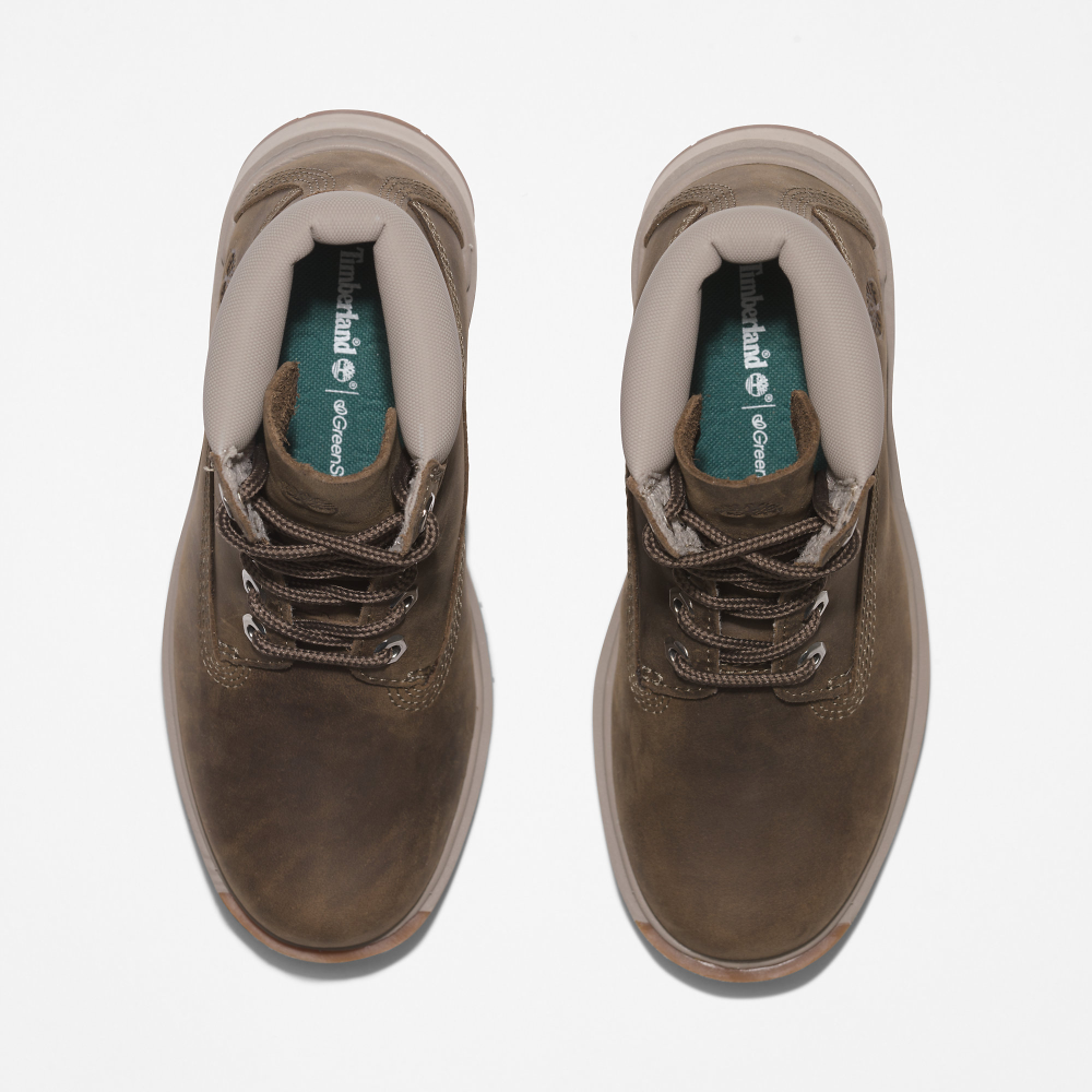 timberland tree vault