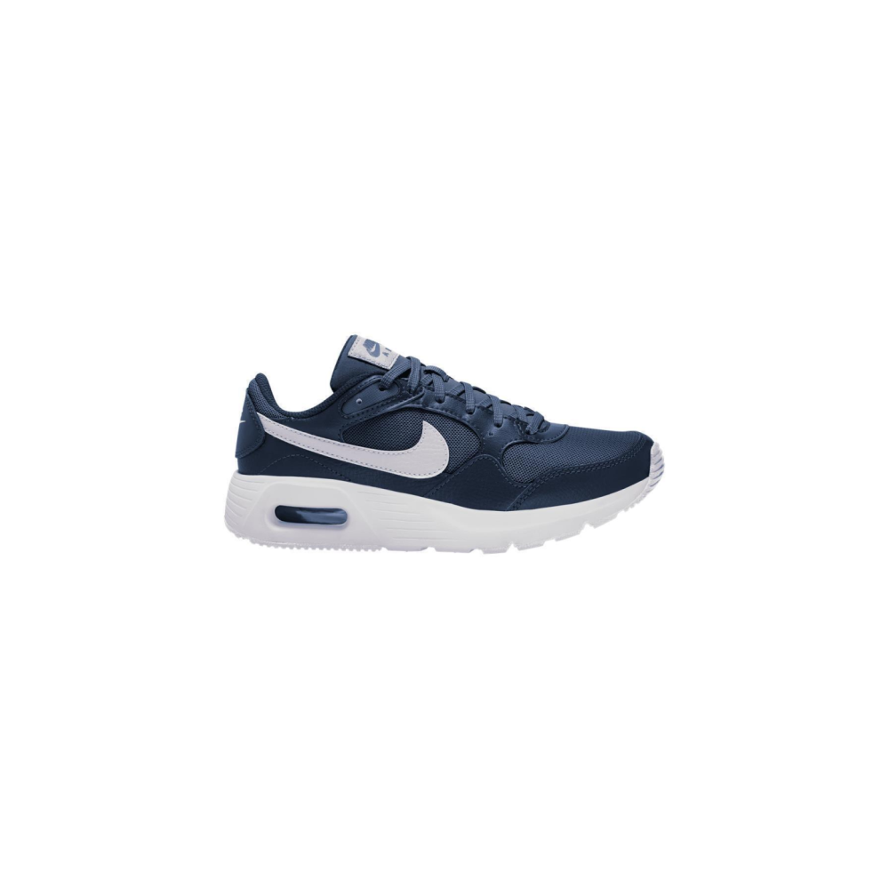 Nike air max 1990s best sale