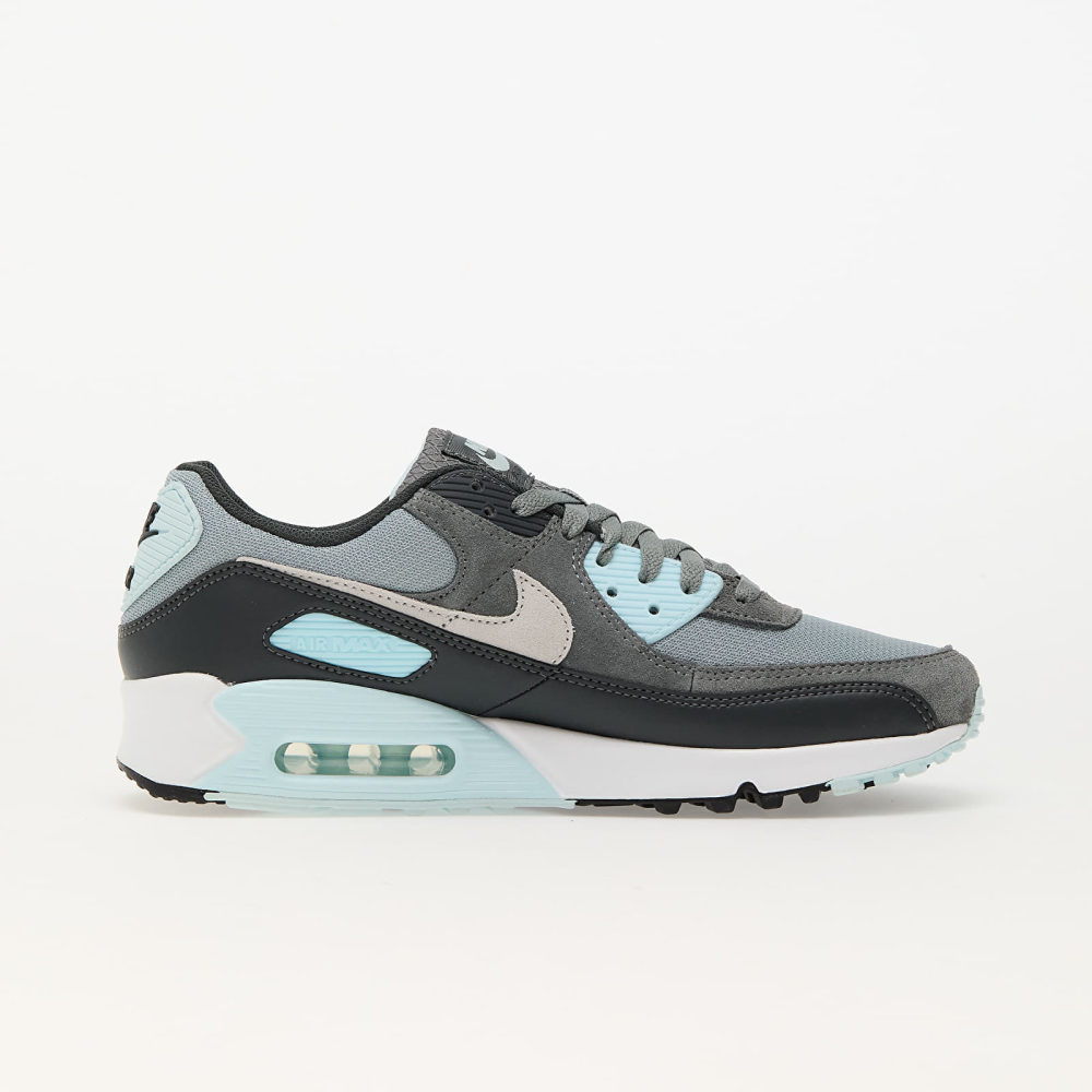 Nike Air Max 90 grau DM0029 009 Preisvergleich