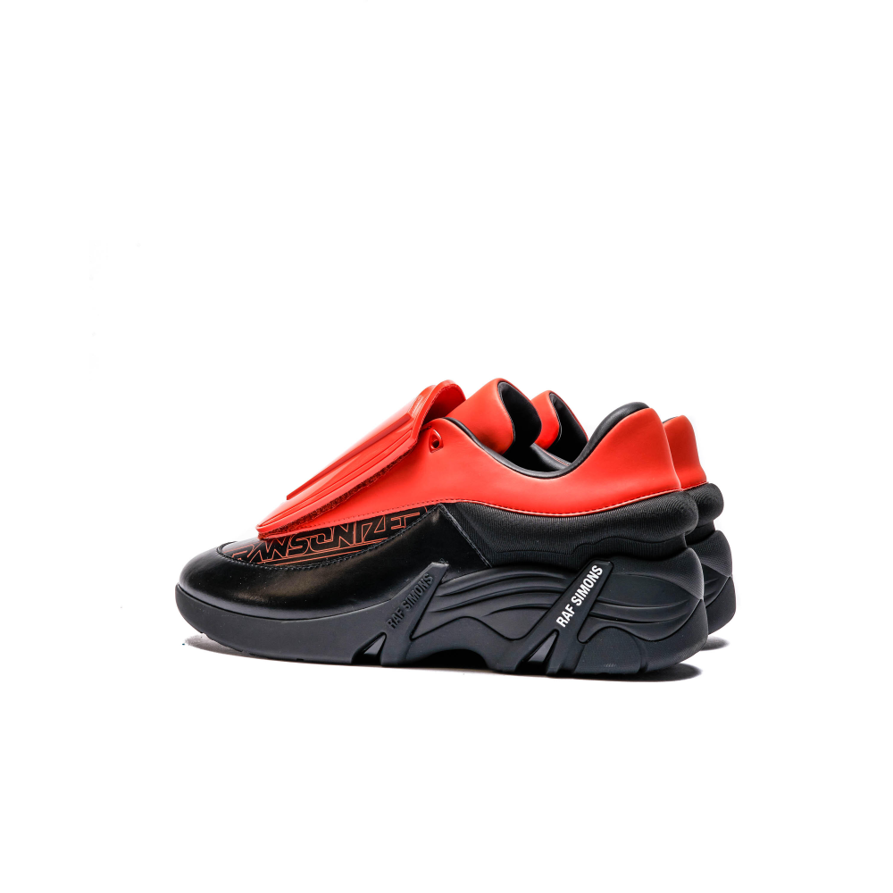 antei raf simons