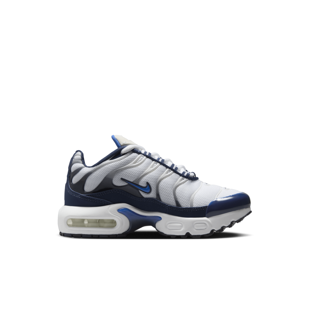 Nike Air Max Plus weiss CD0610 112 Preisvergleich