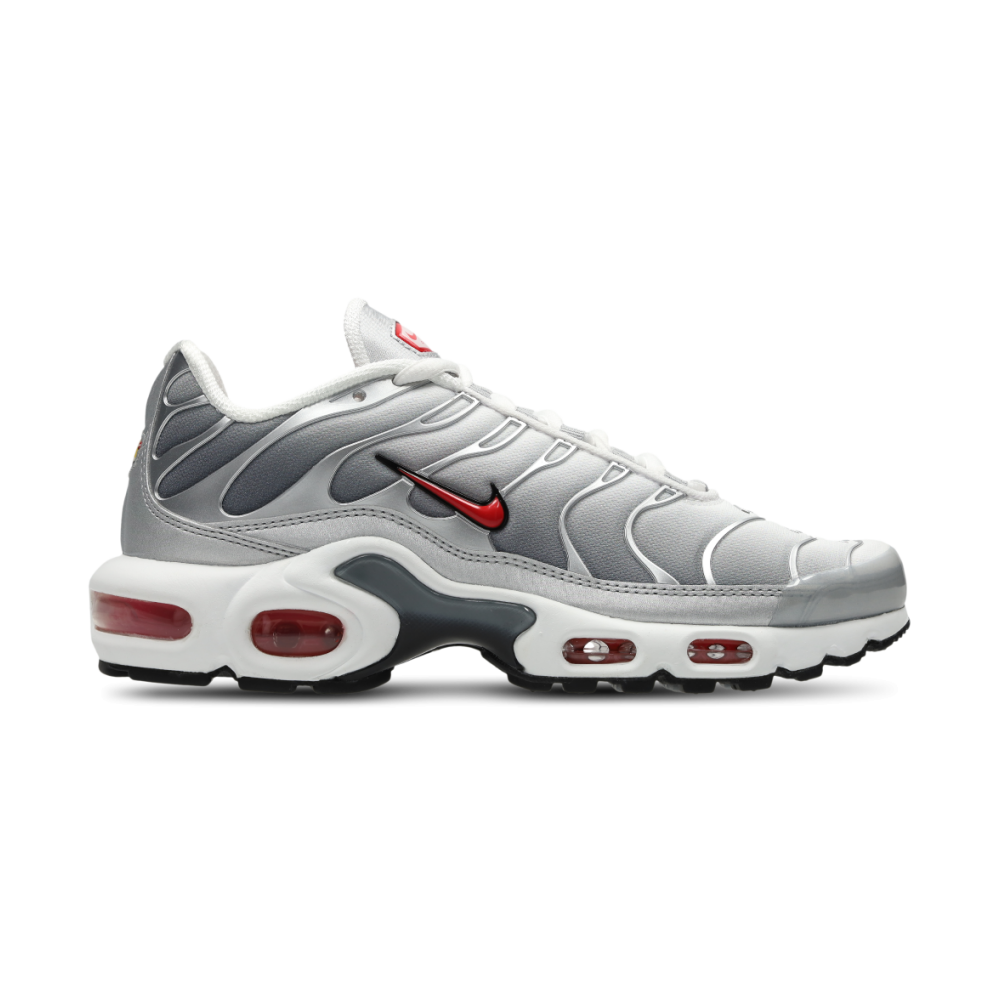 Nike Air Max Plus grau HM9654 001 Preisvergleich