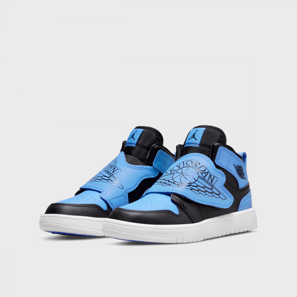 jordan sky 1