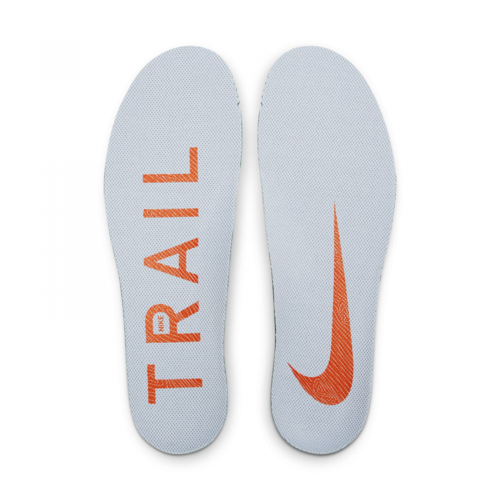 nike pegasus insoles