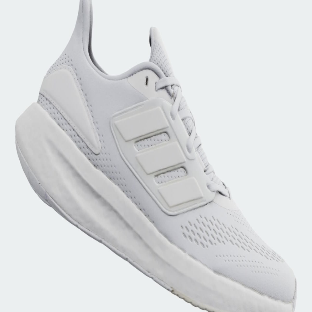 Pureboost 22