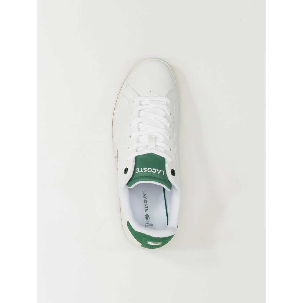 Lacoste graduate white on sale green