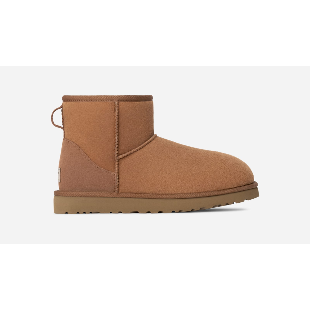 Ugg Boots Mini Braun