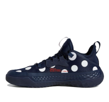 adidas Harden Vol. 5 Futurenatural Polka (GW2955)