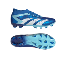 adidas Predator Accuracy.2 MG (IE9485)