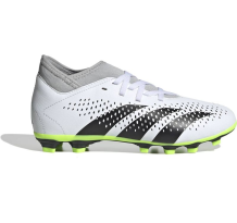 adidas Originals Predator Accuracy.4 s fxg (IE9496) in schwarz