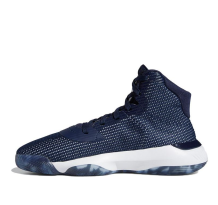 adidas Pro Bounce 2019 (EF9834)