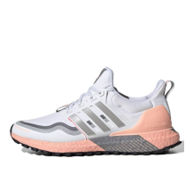 adidas UltraBoost Guard (FW5481)