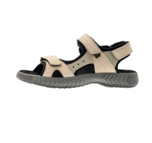 Ara AVIO (12-13506-17)