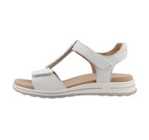 Ara Klassisch (12-34810-04)