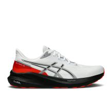 Asics GT 1000 13 (1011B858 100)