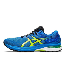Asics GT 2000 9 (1011A983-400)