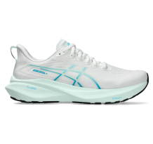 Asics GT 2000 13 (1012B666-101)