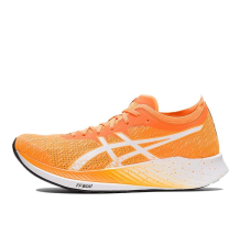 Asics Magic Speed (1012A895-800)