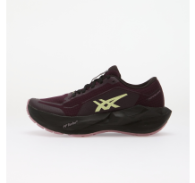 Asics Novablast 6 GTX (1012C021-500)