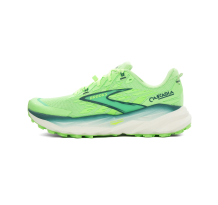 Brooks Cascadia 19 (110457-1D-382)