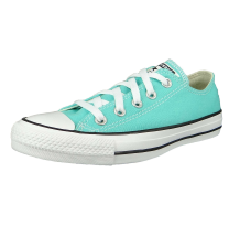 Converse Chuck Taylor All Star OX (171266C)