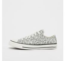 Converse Chuck Taylor All Star (A15053C)