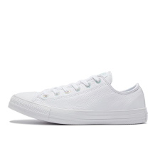 Converse Chuck Taylor All Star Low Top (165623C)