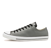 Converse Chuck Taylor All Star Silver Grey (168542C)