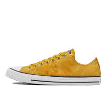 Converse Chuck Taylor All Star Summer Daze (170859C)