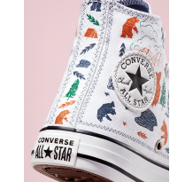 Converse Chuck Taylor All Star (672439C)