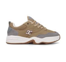 DC Ascend (ADYS100844-256)