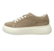 GANT low (27533187/G24)