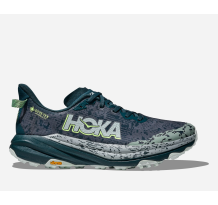 Hoka Speedgoat 6 GTX GORE TEX (1155150-BZY)