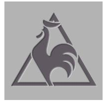 Le Coq Sportif Veloce (2520623)