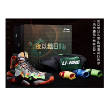 Li-Ning 2020ACE Version (AGBP137-12)