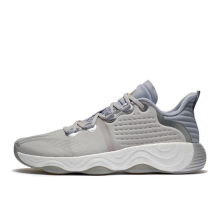Li-Ning Multifunction Gym Athleisure Casual Sports Shoe Gray (AFVS003-1)