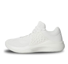 Li-Ning TD Basketball Shoe (ABPQ035-2)