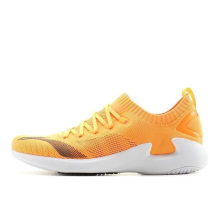 Li-Ning ZhuiFeng Low (ARBN237-3)