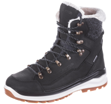 Lowa Renegade Evo ICE 2 GTX (421951_9932)