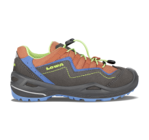 Lowa Robin EVO GTX Low (650711-9704)