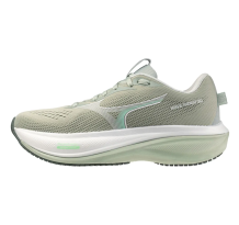 Mizuno Wave Rider 30 (J1GW2620-76)