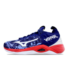 Mizuno Wave Momentum 2 Blue (V1GA191164)