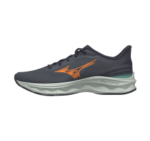 Mizuno Wave Serene 2 Gtx (J1GC2560-02)